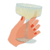 Coupe Chin-Chin - individual sticker